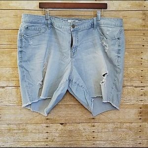 Torrid distressed shorts